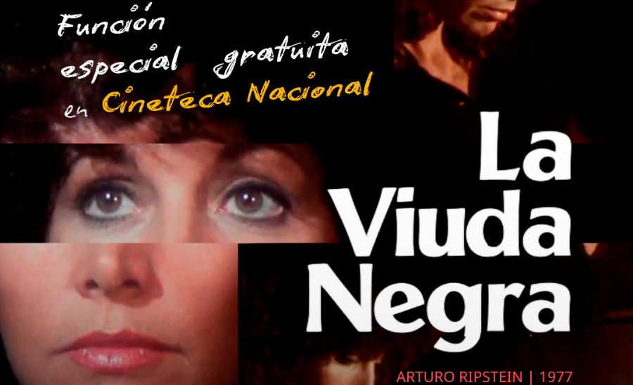 Nuestro Cine MX celebra 11 años impulsando el cine mexicano en streaming