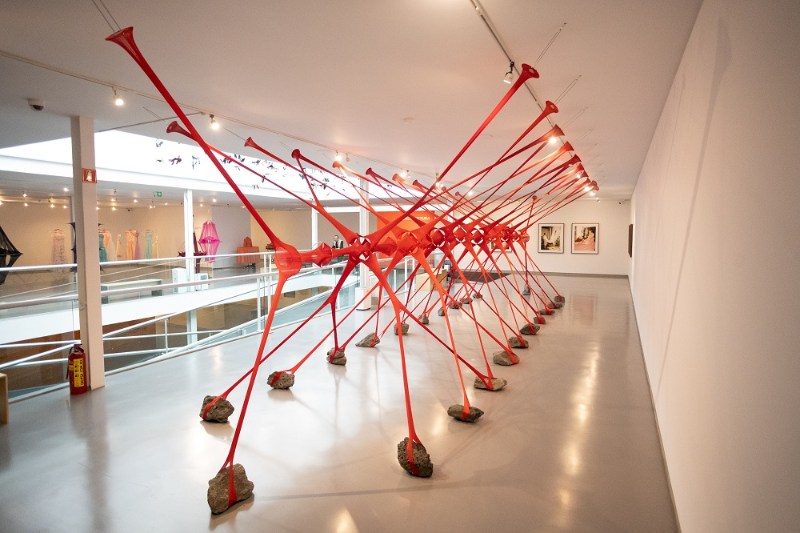 "María Ezcurras. Llíneas de fuga" explora cuerpo, migración y género en el Museo Carrillo Gil