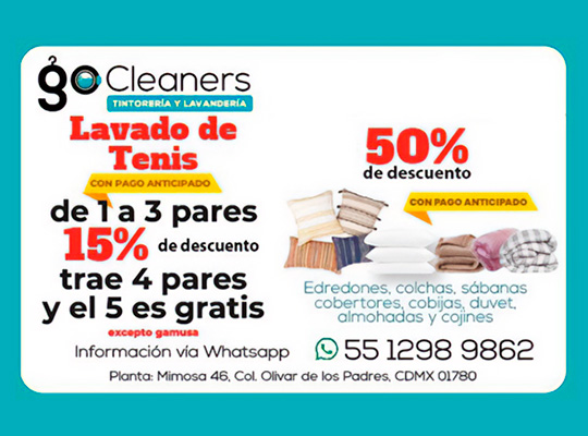 GO CLEANER