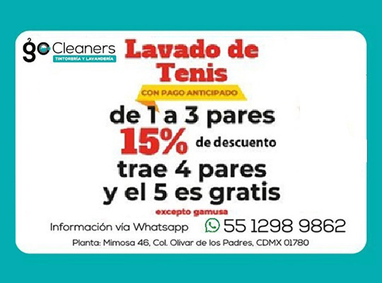 GO CLEANER