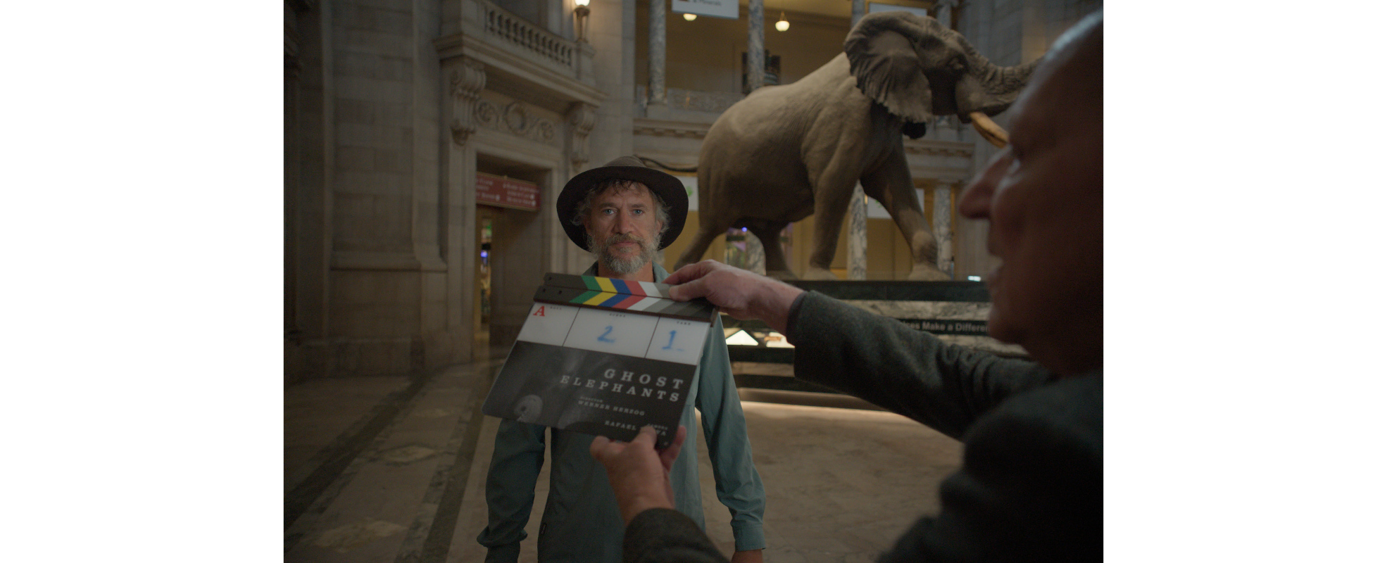 "Elefantes Fantasma", de Werner Herzog, en busca del mamífero más grande del planeta