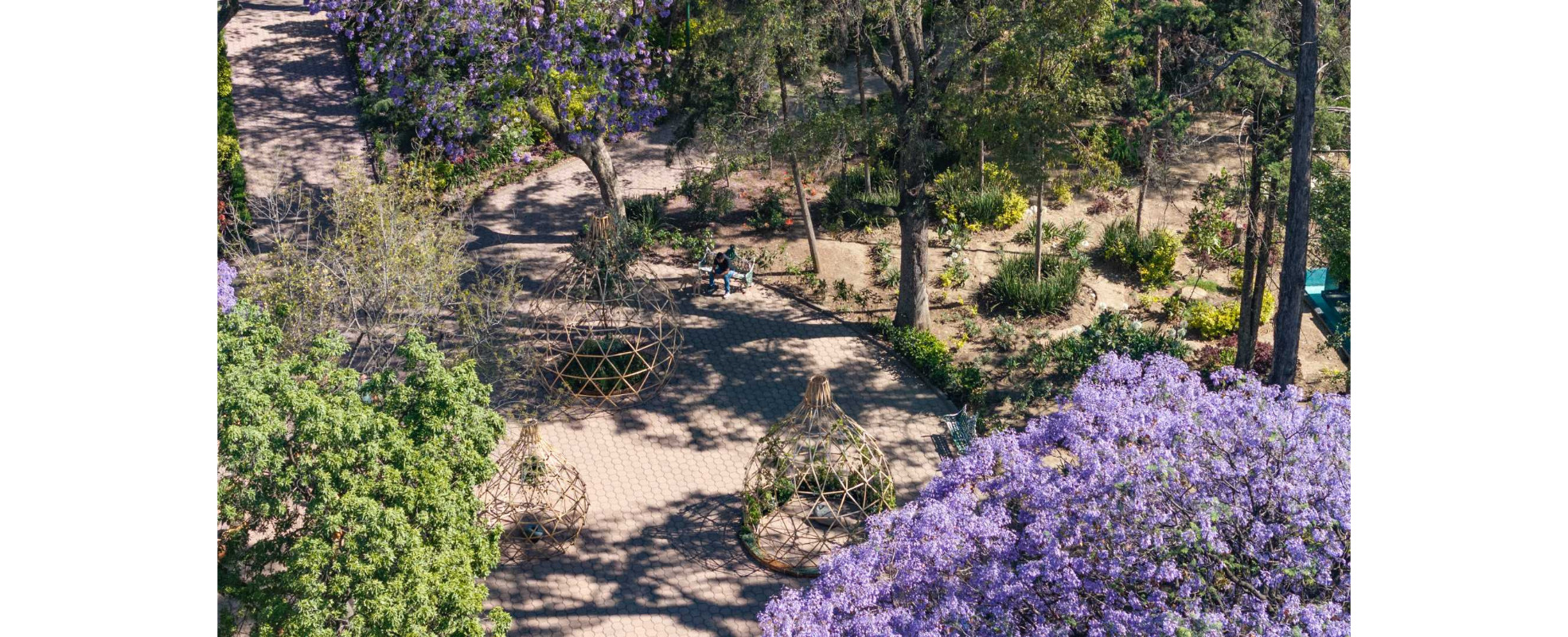 FYJA presenta su edición "México"