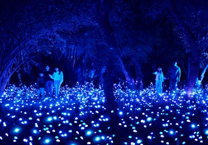 "Light Cycles", la experiencia multisensorial creada por Moment Factory, llega a la Ciudad de México