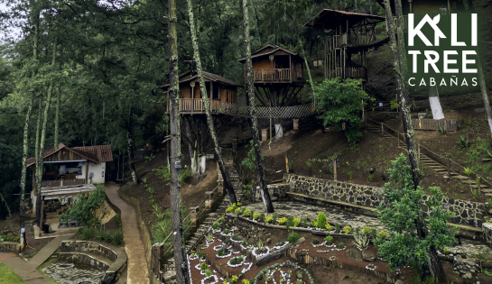KALI TREE CABAÑAS