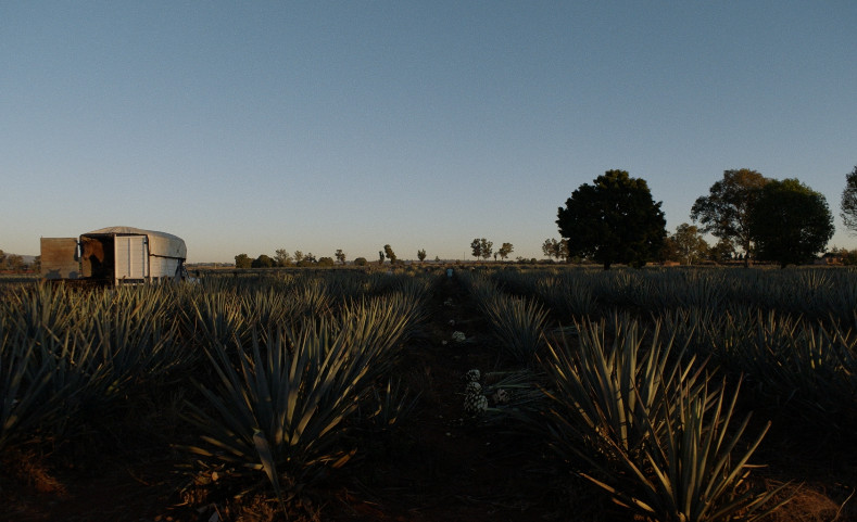“Dos Estaciones”, dirigida por Juan Pablo González, llega a cines el 10 de septiembre