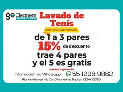 GO CLEANER