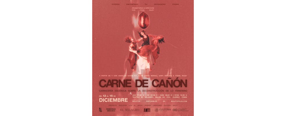 "Carne de cañón": un viaje interdisciplinario hacia la deconstrucción de lo femenino