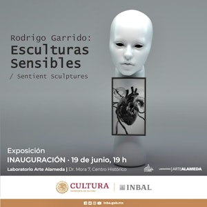 Llega al Laboratorio Arte Alameda la exposición “Esculturas Sensibles” de Rodrigo Garrido