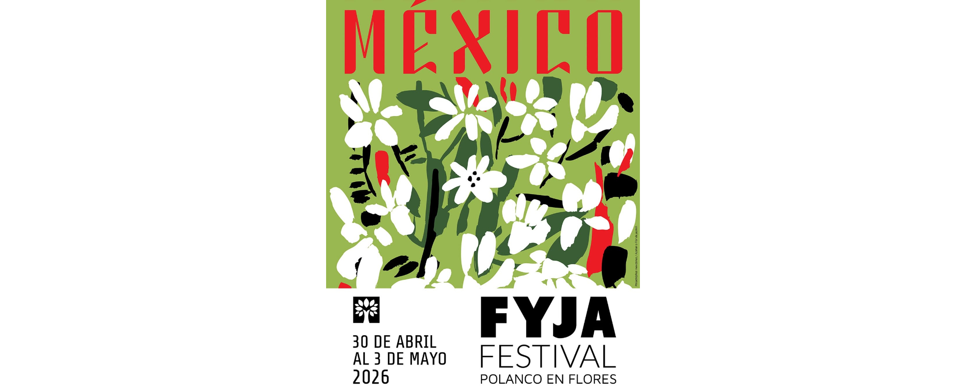 FYJA 2026 anuncia a los proyectos seleccionados de sus convocatorias rumbo a su décima edición