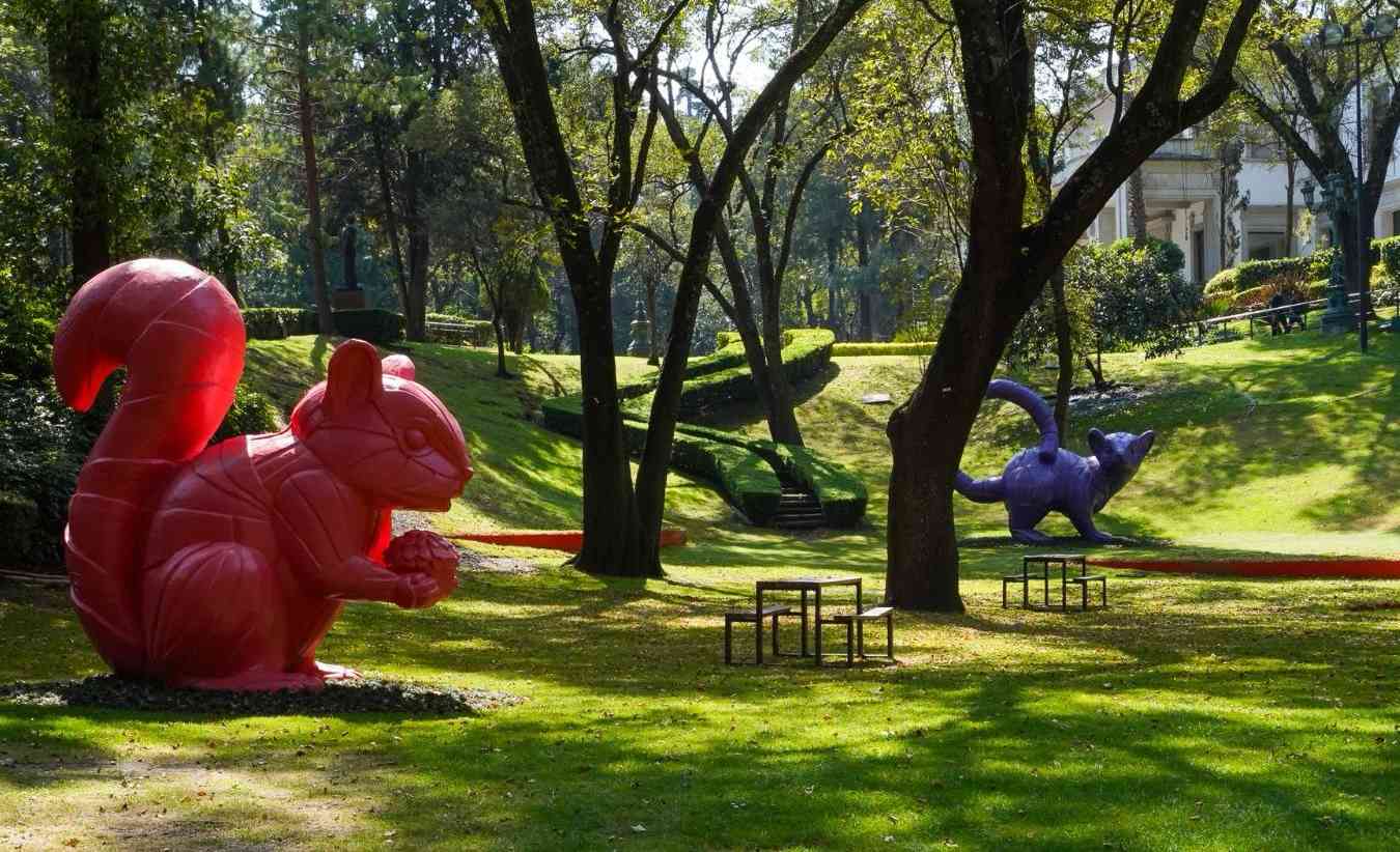 Jardín Hondonada: un nuevo espacio en el Complejo Cultural Los Pinos para explorar la relación entre arte y biodiversidad