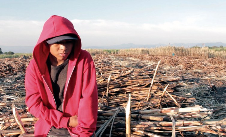 "Mi no lugar", de Isis Ahumada, estrena en México y recorre comunidades cañeras en 15 estados