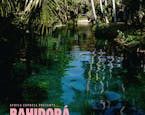 “Africa Express presents… Bahidorá”: el nuevo álbum creado e inspirado en el festival Bahidorá de México