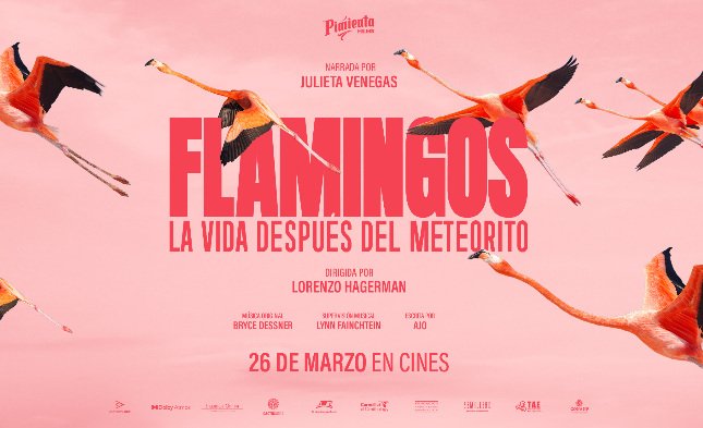 "Flamingos" vuela alto y logra el mejor debut para un documental mexicano tras la pandemia