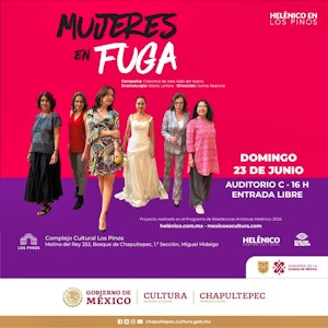 "Mujeres en fuga", cuatro estremecedores monólogos del Colectivo Este Lado del Teatro, llega al Complejo Cultural Los Pinos