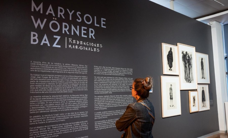 Marysole Wörner Baz regresa al Museo de Arte Moderno con una muestra sobre su legado artístico y activismo LGBTTTIQ+