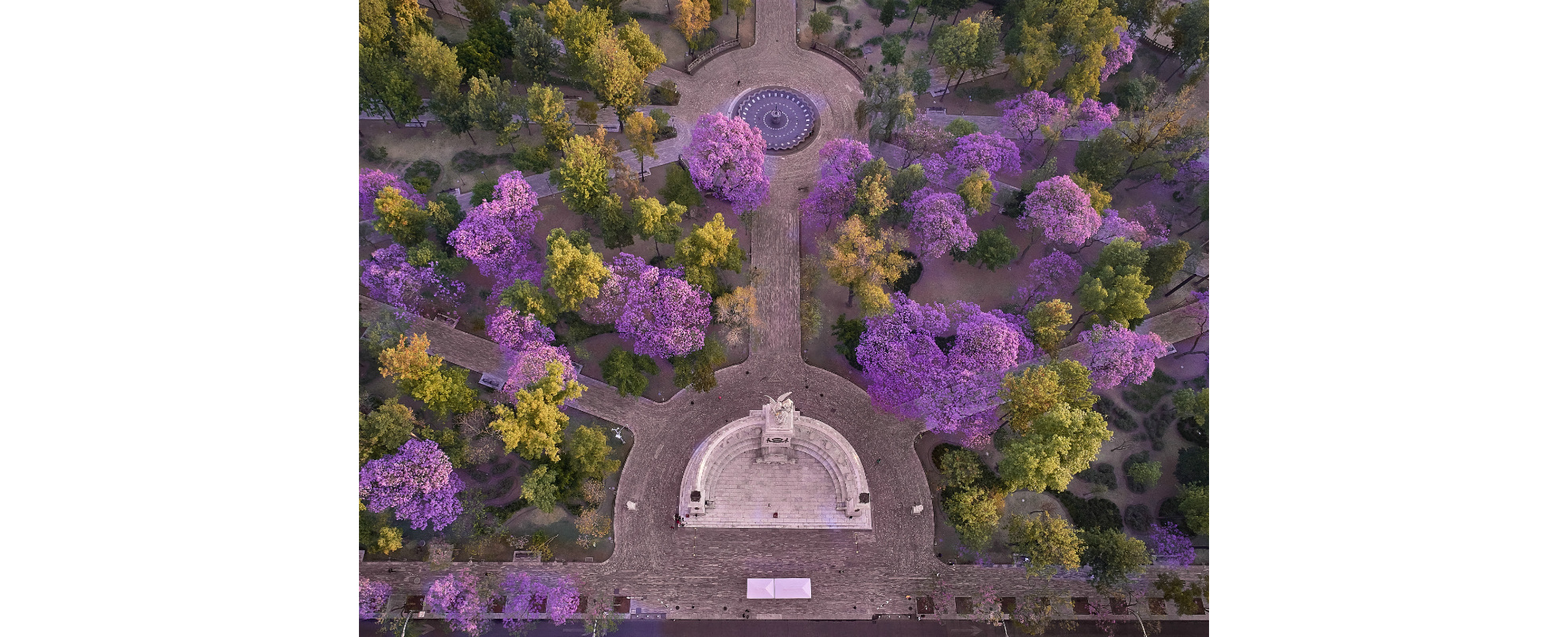 FYJA presenta Inmersiones FYJA 2026. Miradas del jardín mexicano: casa, ciudad y territorio