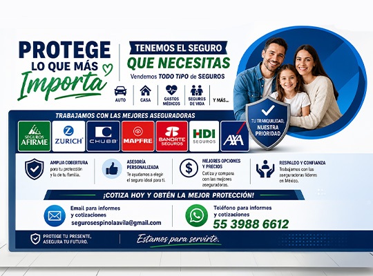 E & A, Seguros
