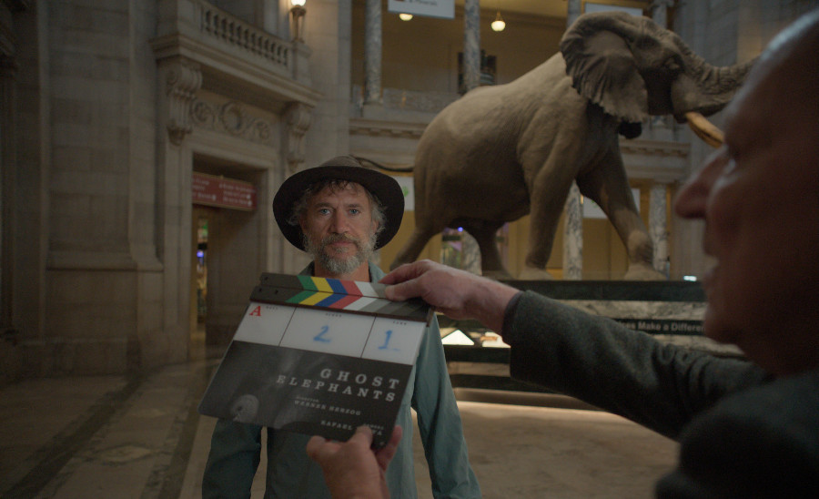 "Elefantes Fantasma", de Werner Herzog, en busca del mamífero más grande del planeta