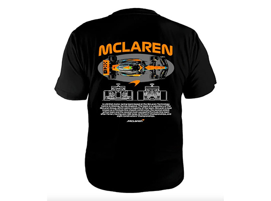 PLAYERA F1
