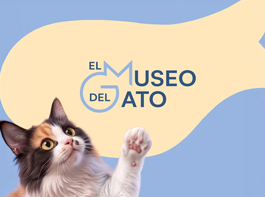 El Museo del Gato