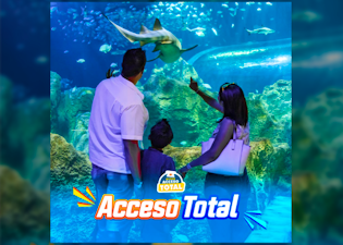 Acuario Michin Puebla