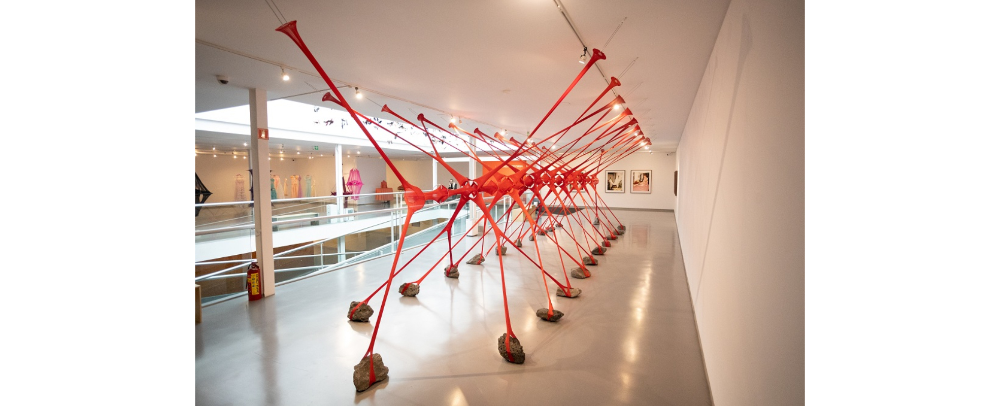 "María Ezcurras. Llíneas de fuga" explora cuerpo, migración y género en el Museo Carrillo Gil