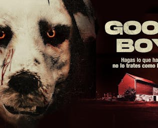 "Good Boy" del director Viljar Boe llega a los cines en México