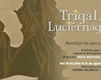 Llega al Teatro Helénico: "Trigal de luciérnagas", una historia de resistencia donde lo femenino, lo mágico y lo ecológico se entrelazan