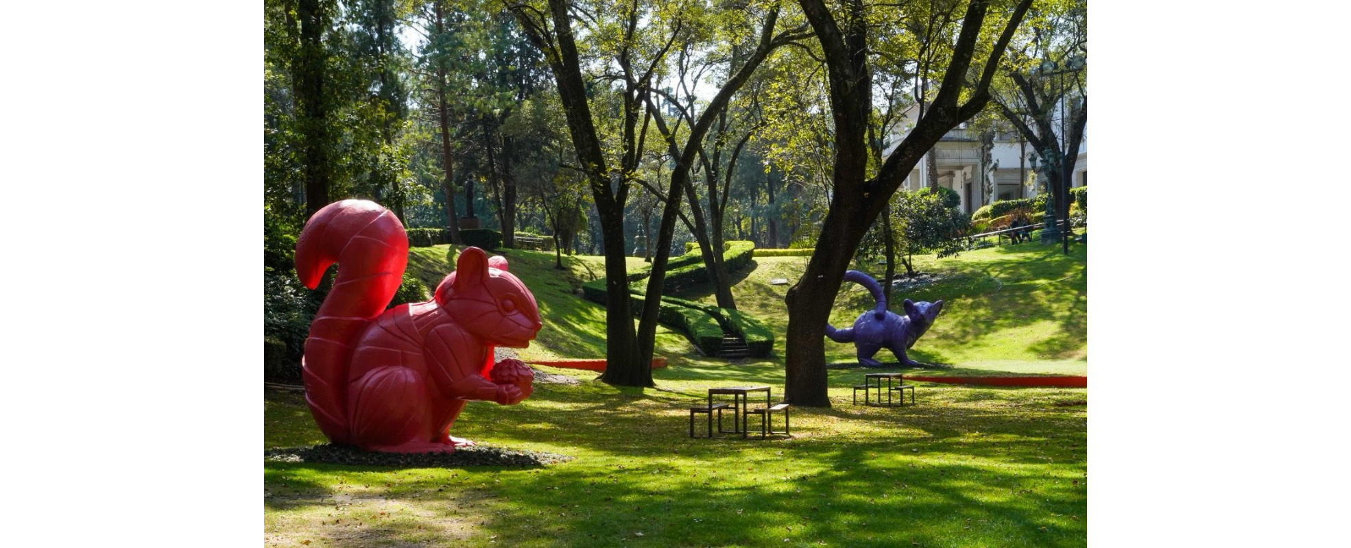 Jardín Hondonada: un nuevo espacio en el Complejo Cultural Los Pinos para explorar la relación entre arte y biodiversidad