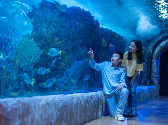 Acuario Inbursa - Entrada general