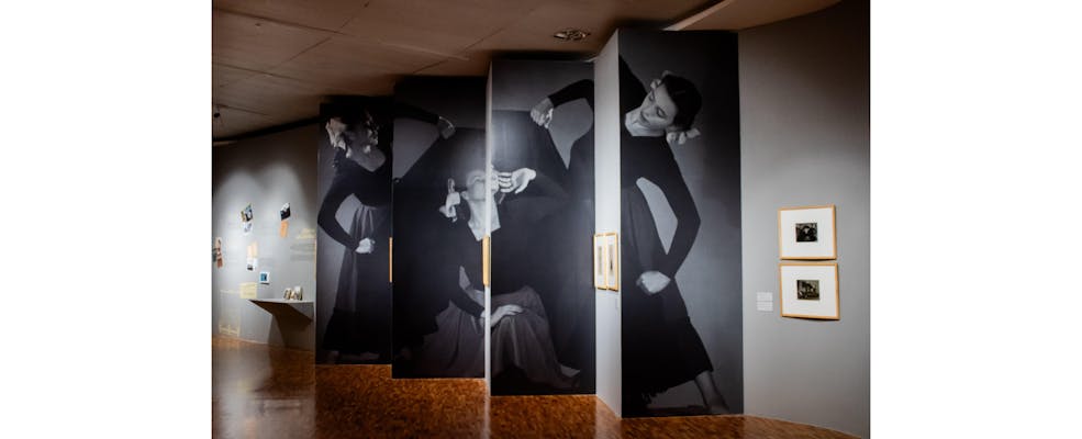 El Museo de Arte Moderno presenta la exposición “Estéticas Revueltas. Una familia de vanguardia”