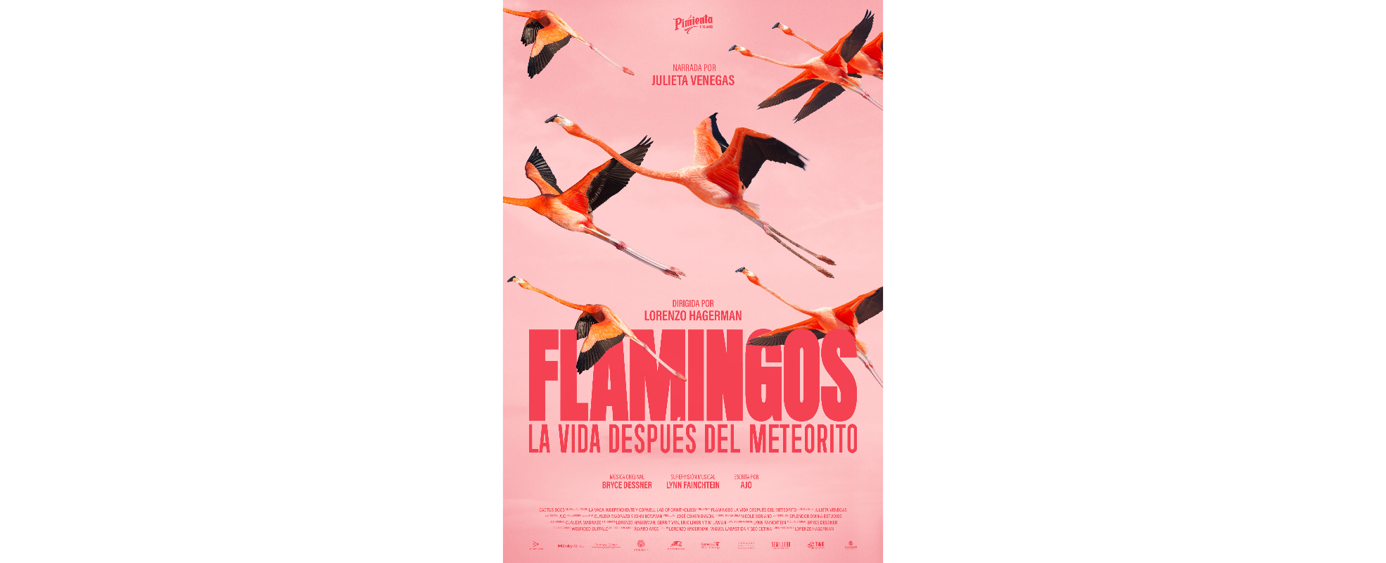 En el Día Mundial de la Naturaleza se anuncia el estreno de "Flamingos"