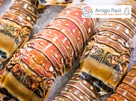 AMIGO RAÚL, FRUTOS DEL MAR
