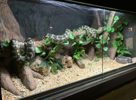 ZOOAVENTURAS San Juan de Aragón