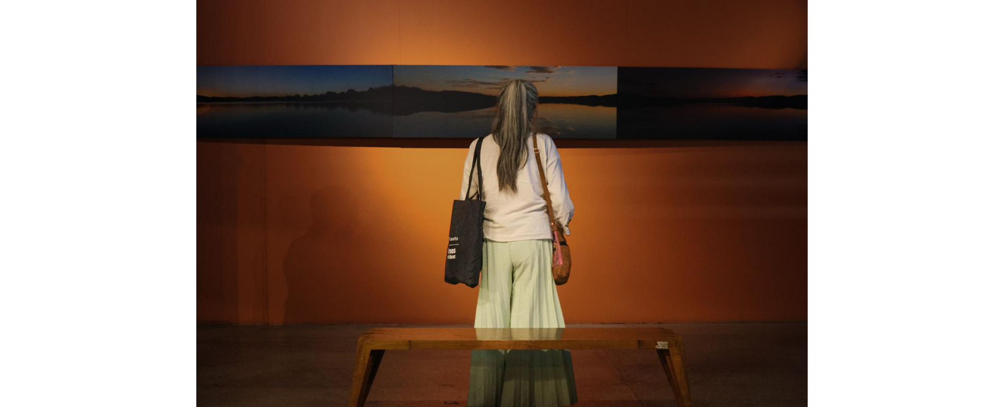 El Centro de Cultura Digital inaugura “Planeta complejo. Diversidad”, exposición de creación electroacústica