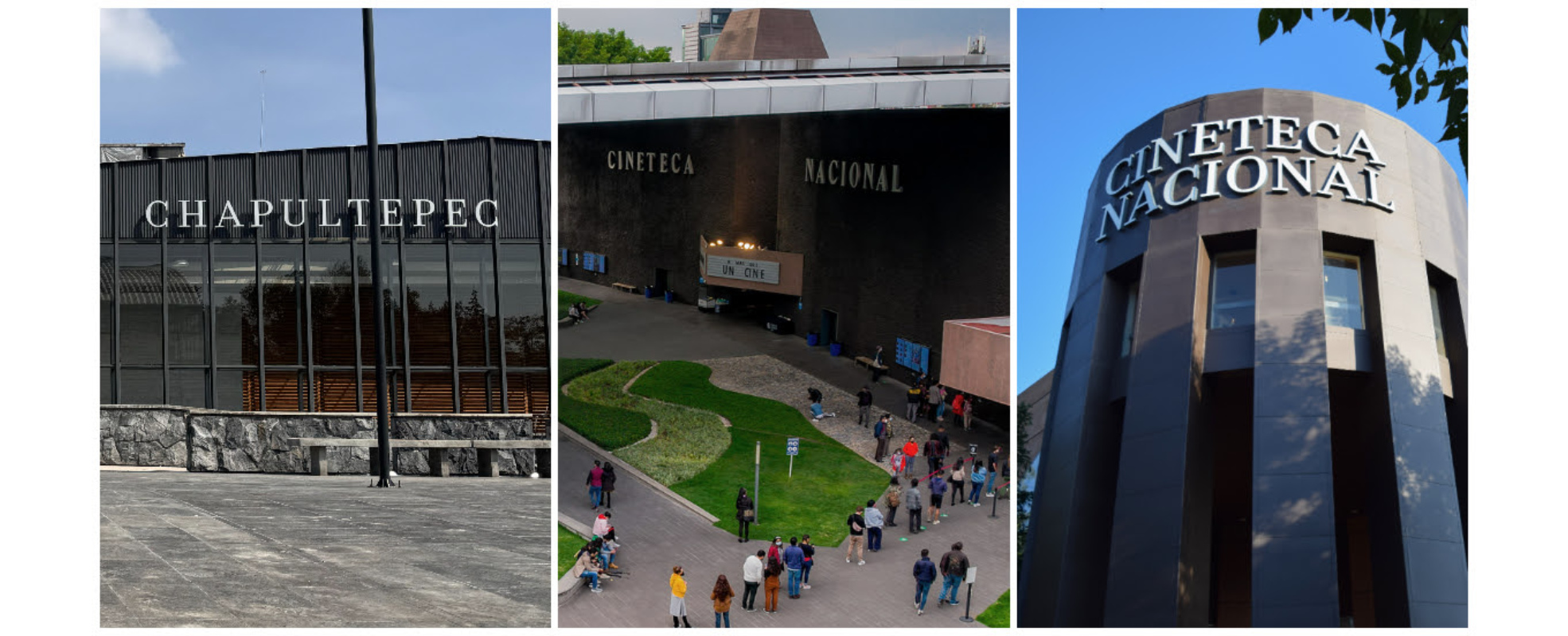 Cineteca Nacional 2025: Expansión y públicos en formación - Parte 1