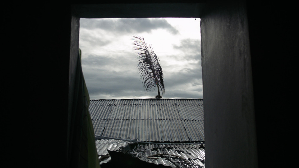 "Agridulce", el documental de Frank Pavich, estrena en el FICG en la sección Son de Cine In-Edit