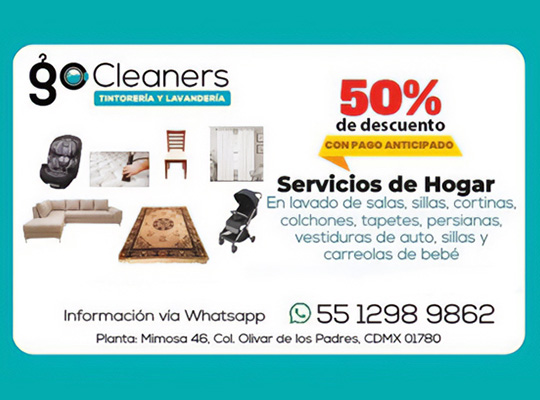GO CLEANER