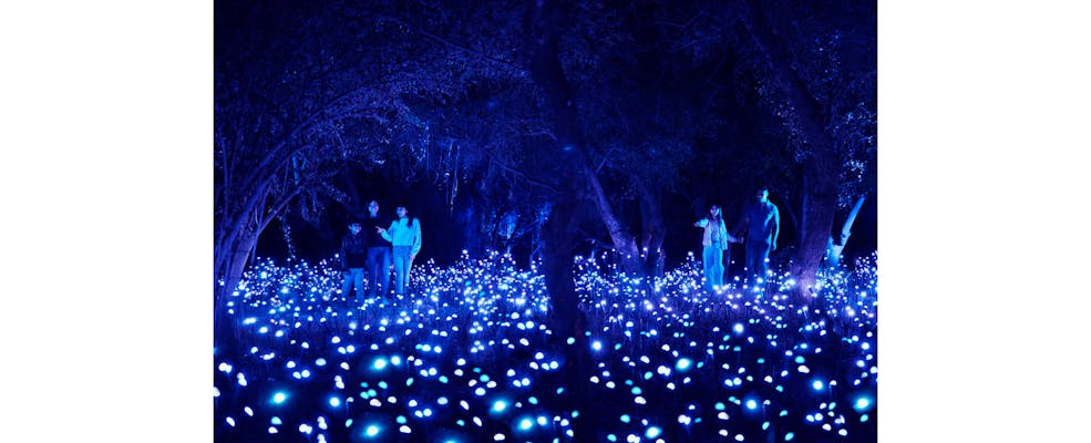 "Light Cycles", la experiencia multisensorial creada por Moment Factory, llega a la Ciudad de México