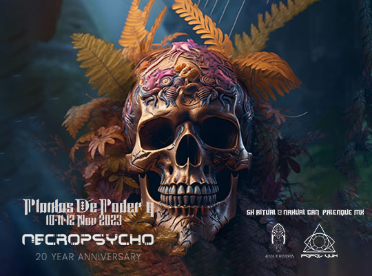 “Plantas de Poder 4”