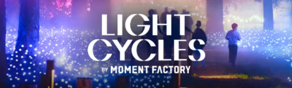 Light Cycles: ¡Una experiencia inmersiva nocturna entre luces y sonidos de la naturaleza!