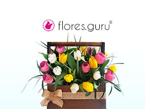 Flores Gurú