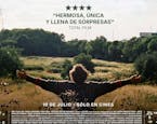 Tulip Pictures estrena en México "Bird", el nuevo filme de Andrea Arnold