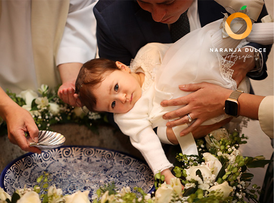 Naranja Dulce, Fotografía